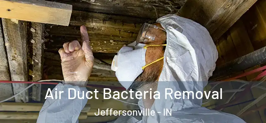  Air Duct Bacteria Removal Jeffersonville - IN