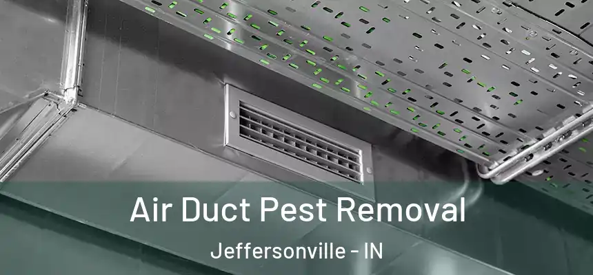  Air Duct Pest Removal Jeffersonville - IN