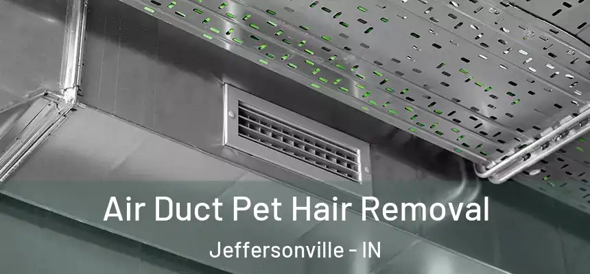  Air Duct Pet Hair Removal Jeffersonville - IN