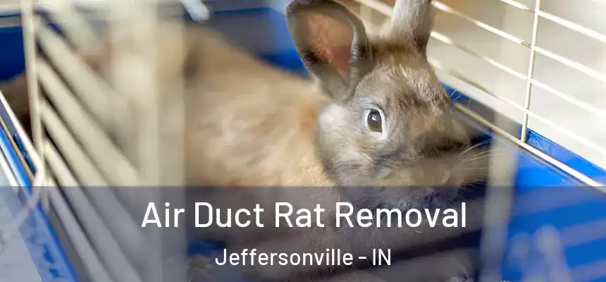  Air Duct Rat Removal Jeffersonville - IN
