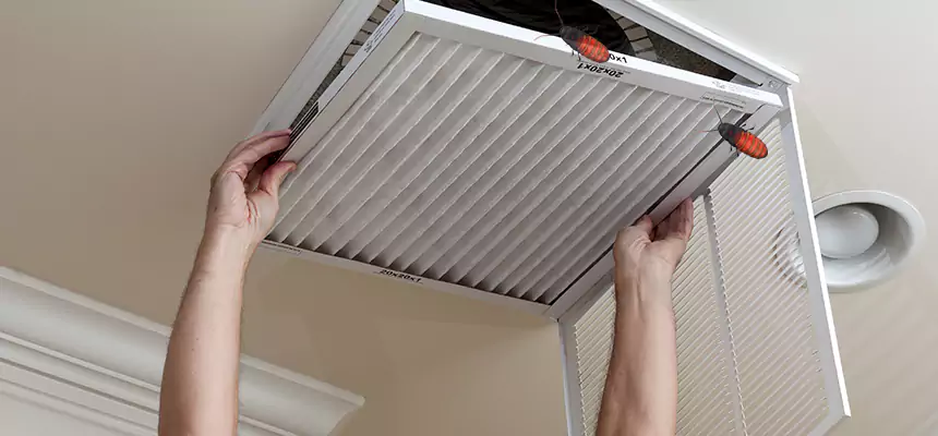 Preventive Cockroach-Proofing for Ducts in Jeffersonville