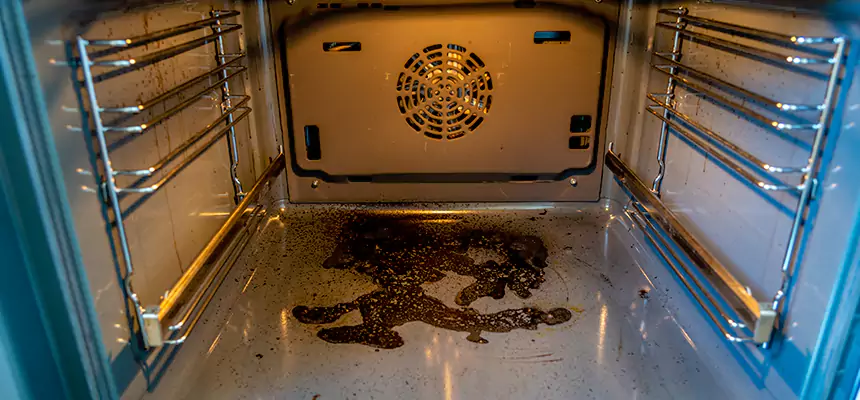 Our Dryer Vent Mold Cleaning Services in Jeffersonville, IN