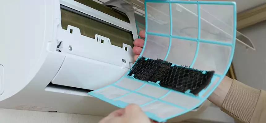 Gentle Ductwork Odor-Control Pet Dander Duct Cleaning in Jeffersonville, IN