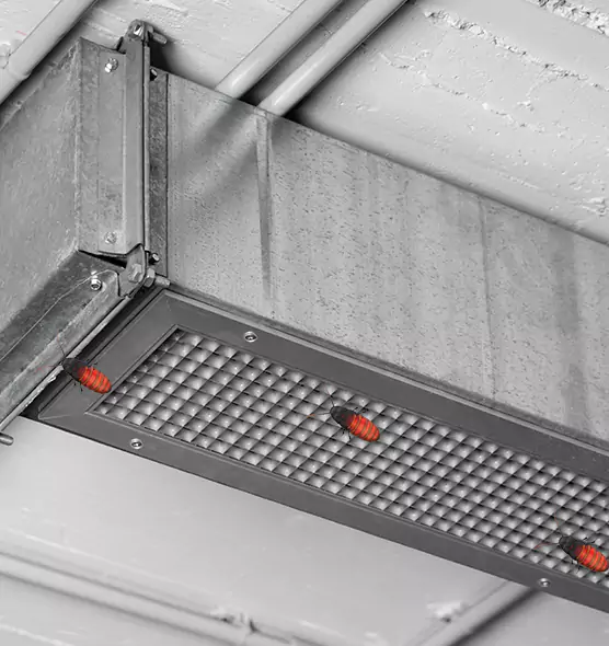 About Air Duct Cockroach Removal in Jeffersonville, IN