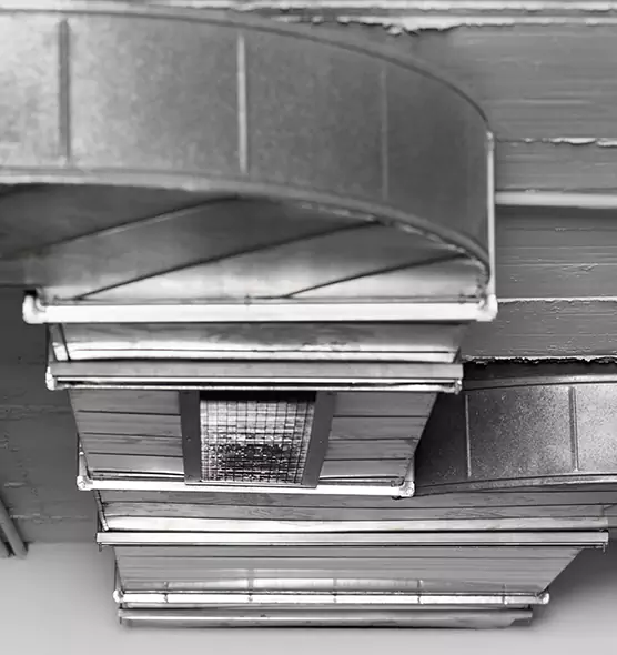 Professional Air Duct Pet Hair Removal in Jeffersonville, IN