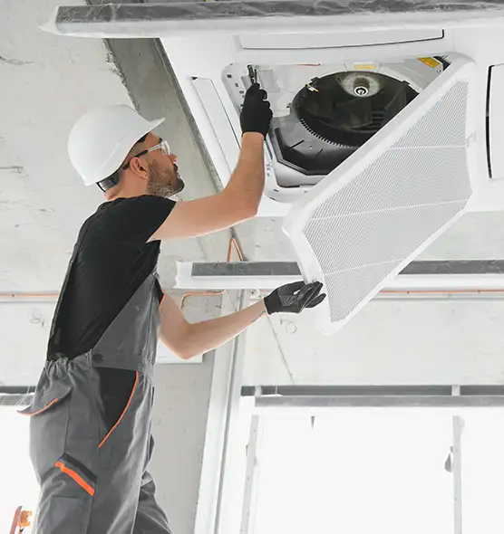 About Air Duct Rodent Removal in Jeffersonville, IN