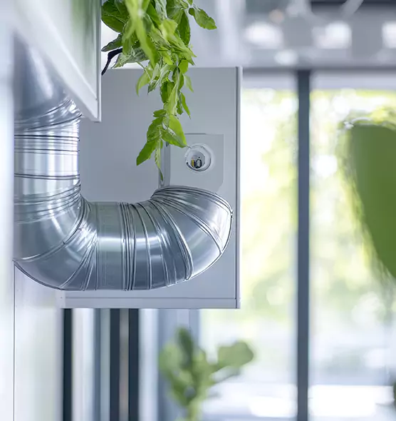 Professional Eco-Safe Dryer Vent Cleaning in Jeffersonville, IN