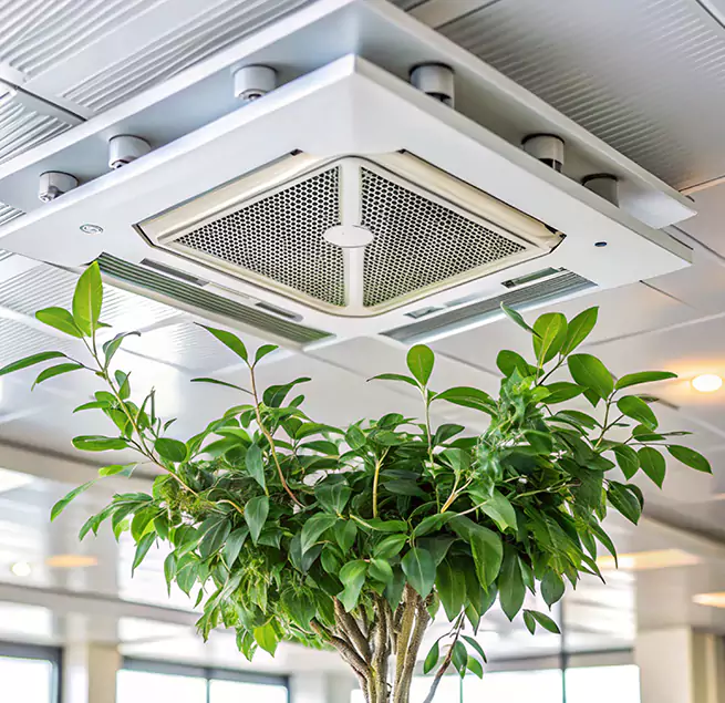 Why Homeowners & Businesses Trust Us in Jeffersonville, IN