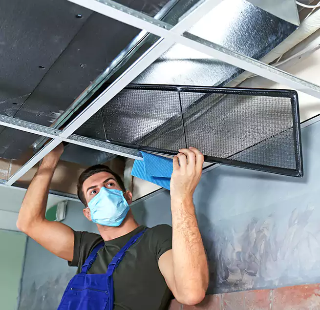 Why Homeowners Businesses Trust Us in Jeffersonville, IN