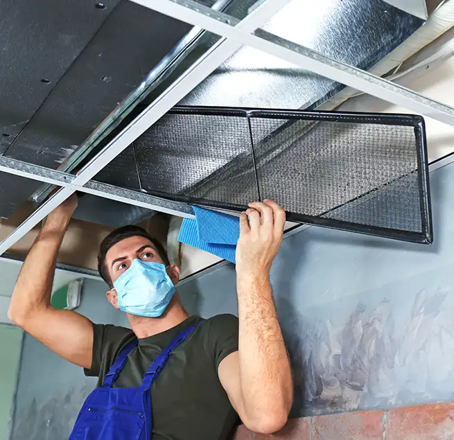 Why Homeowners & Businesses Trust Us in Jeffersonville, IN?